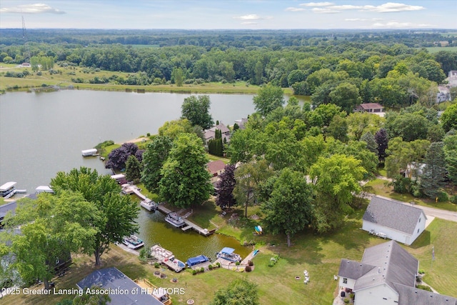 4951 Shore Ln, Perrinton, MI 48871 - drone / aerial view of a nearby body of water