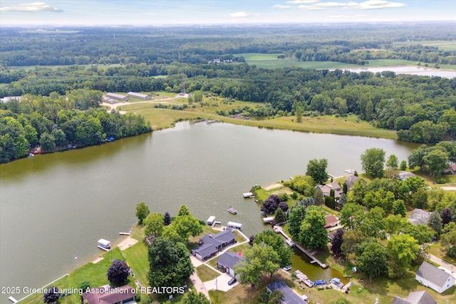 4951 Shore Ln, Perrinton, MI 48871 - aerial view of a nearby body of water
