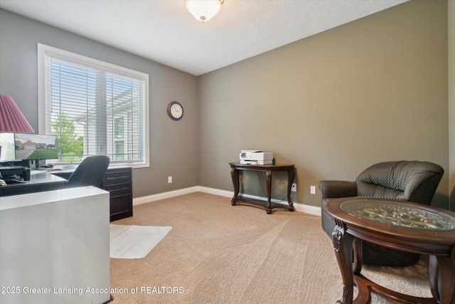 1213 Lobelia Ln, Dewitt, MI 48820 - photo 22