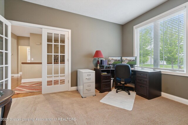 1213 Lobelia Ln, Dewitt, MI 48820 - photo 23