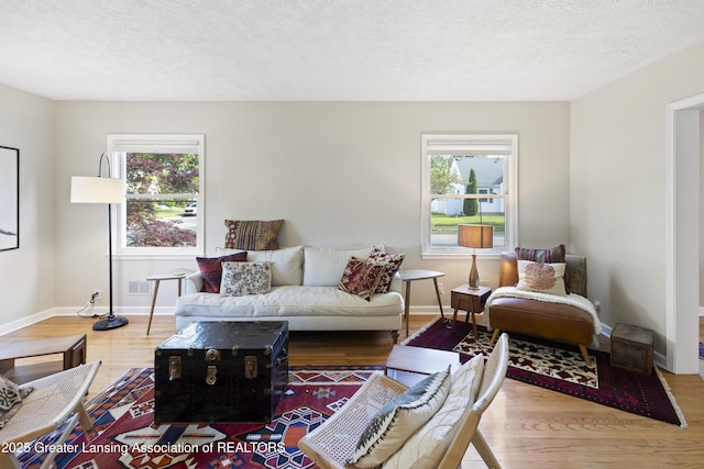 438 Bailey St, East Lansing, MI 48823 - living room with plenty of natural light, wood finished floors, a textured ceiling, and baseboards