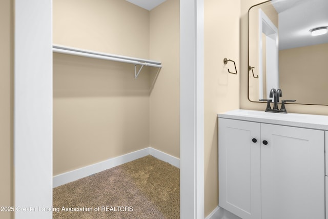 1221 W Saginaw St, Lansing, MI 48915 - spacious closet featuring carpet floors and a sink