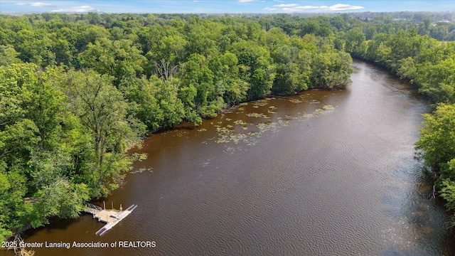 2146 Tecumseh River Rd, Lansing, MI 48906 - drone / aerial view of a forest and a nearby body of water