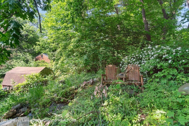 2146 Tecumseh River Rd, Lansing, MI 48906 - view of yard
