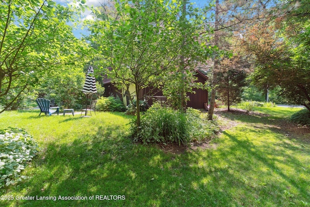2146 Tecumseh River Rd, Lansing, MI 48906 - view of grassy yard