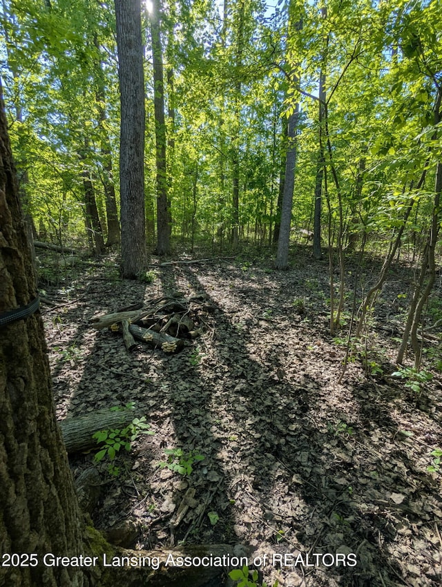 5413 S Waverly Rd, Lansing, MI 48911 - view of local wilderness