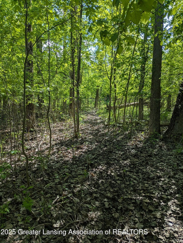 5413 S Waverly Rd, Lansing, MI 48911 - view of woods