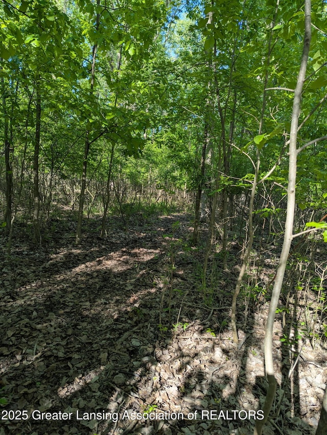 5413 S Waverly Rd, Lansing, MI 48911 - view of local wilderness