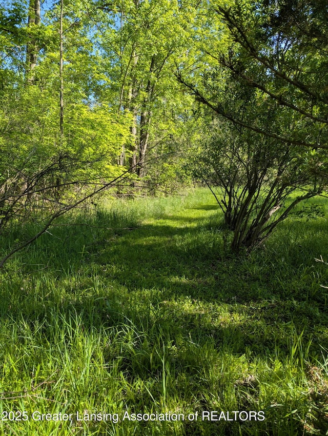5413 S Waverly Rd, Lansing, MI 48911 - view of nature