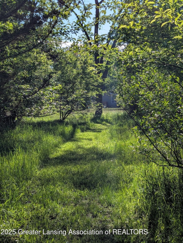 5413 S Waverly Rd, Lansing, MI 48911 - view of undeveloped land