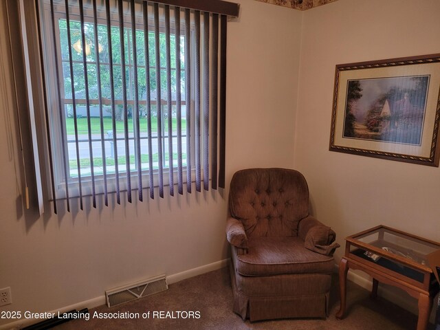 718 W Shepherd St, Charlotte, MI 48813 - sitting room featuring carpet and baseboards