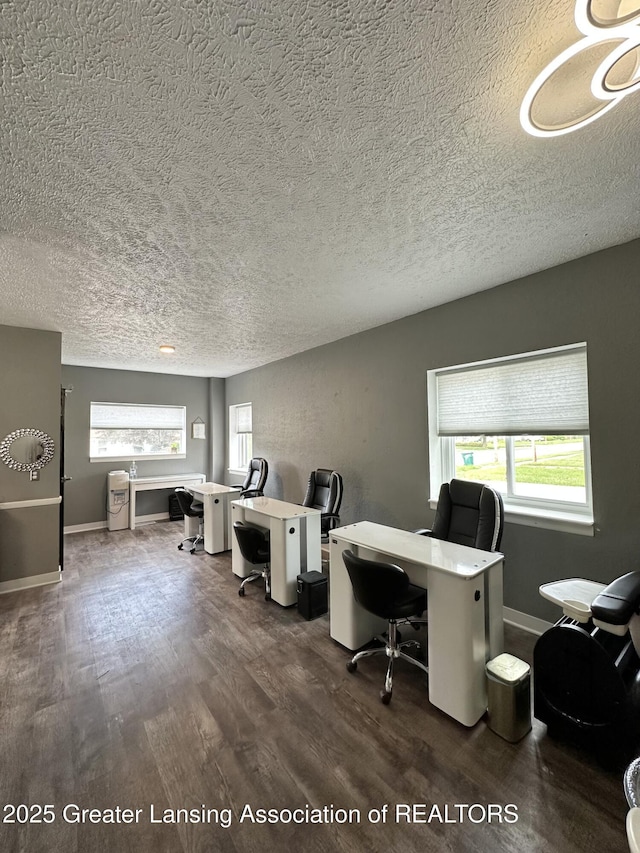 600 E Cavanaugh Rd, Lansing, MI 48910 - office space with a textured ceiling, wood finished floors, healthy amount of natural light, and baseboards
