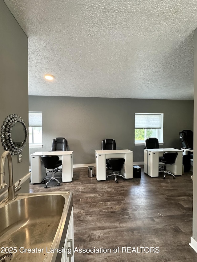 600 E Cavanaugh Rd, Lansing, MI 48910 - office area with a sink, a textured ceiling, wood finished floors, and baseboards