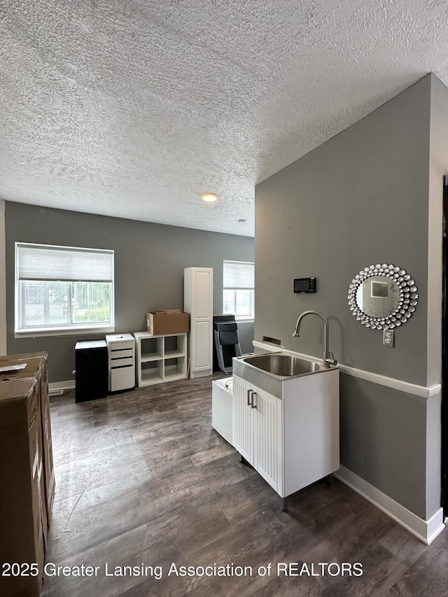 600 E Cavanaugh Rd, Lansing, MI 48910 - kitchen with healthy amount of natural light, a sink, dark wood-style floors, a textured ceiling, and baseboards