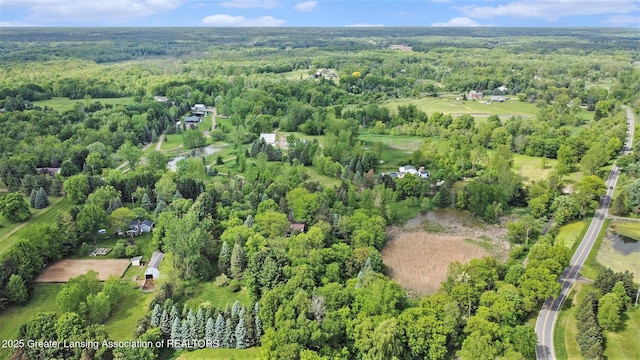 6420 Clise Rd, Bath, MI 48808 - aerial overview of property's location featuring a heavily wooded area