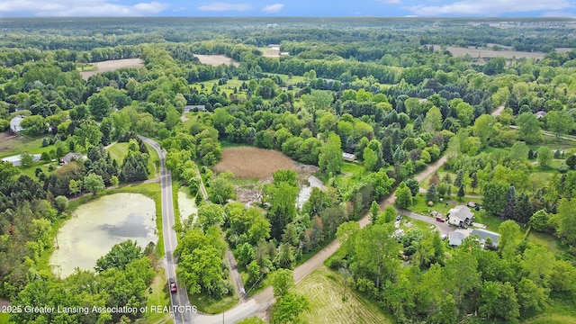 6420 Clise Rd, Bath, MI 48808 - aerial view
