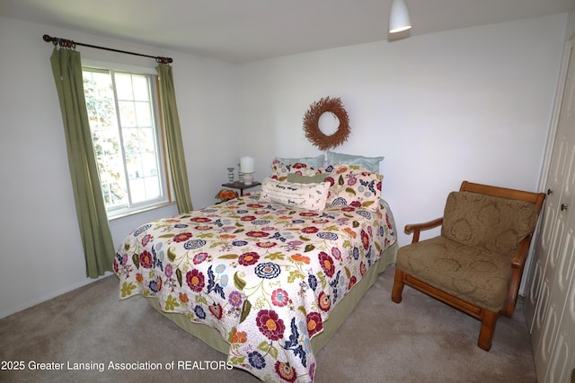 1615 Peppertree Ln, Lansing, MI 48912 - bedroom featuring carpet flooring and multiple windows