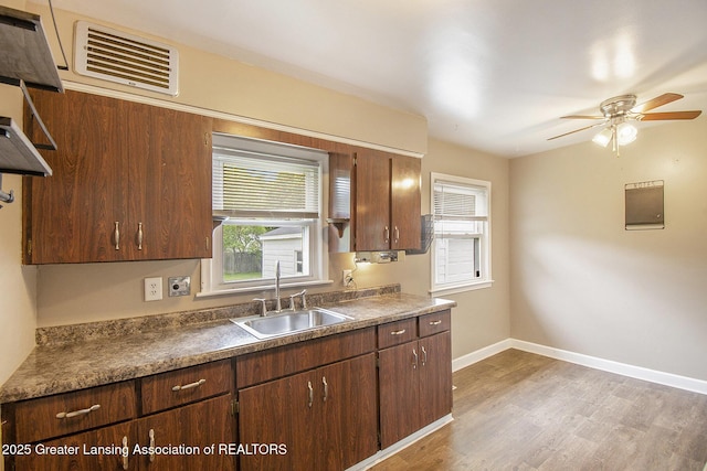 4512 Alpha St, Lansing, MI 48910 - kitchen featuring a sink, healthy amount of natural light, a ceiling fan, and light wood-style flooring