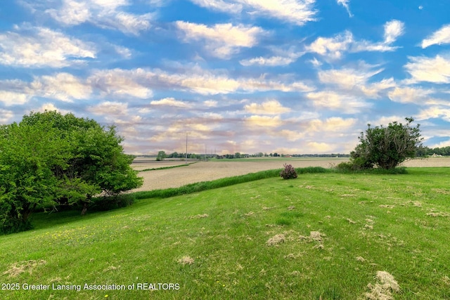 3230 Tomlinson Rd, Mason, MI 48854 - photo 25