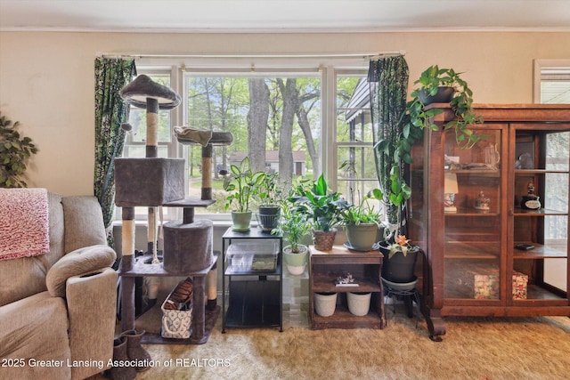3105 Allen Ln, Harrison, MI 48625 - living room featuring ornamental molding and plenty of natural light