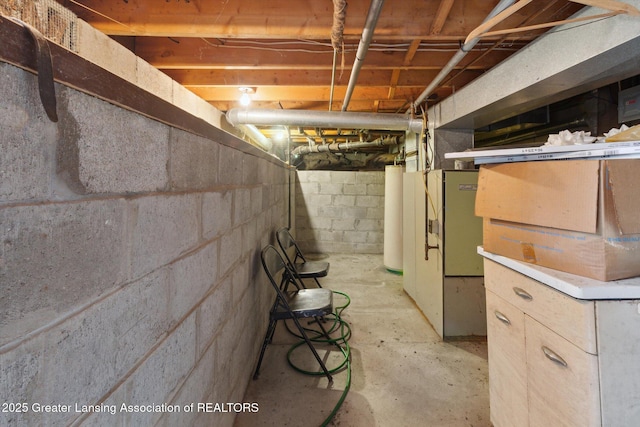 3105 Allen Ln, Harrison, MI 48625 - unfinished below grade area with water heater