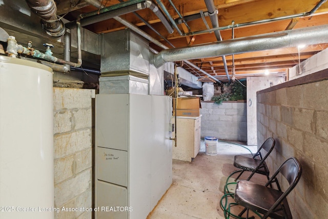 3105 Allen Ln, Harrison, MI 48625 - unfinished below grade area with water heater and heating unit
