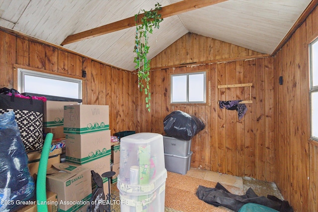 3105 Allen Ln, Harrison, MI 48625 - view of storage area