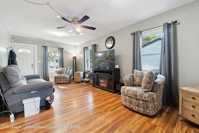 3804 Glenwood Ave, Lansing, MI 48910 - living room with light wood-style flooring, a ceiling fan, and a glass covered fireplace