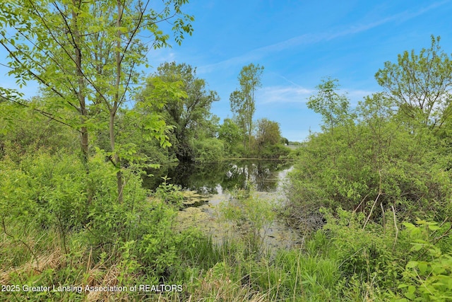 3115 Dietz Rd, Williamston, MI 48895 - view of nature