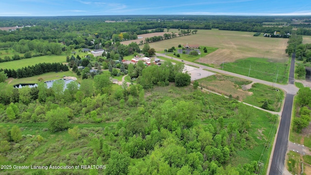 3115 Dietz Rd, Williamston, MI 48895 - aerial view of property's location with rural landscape and a large body of water