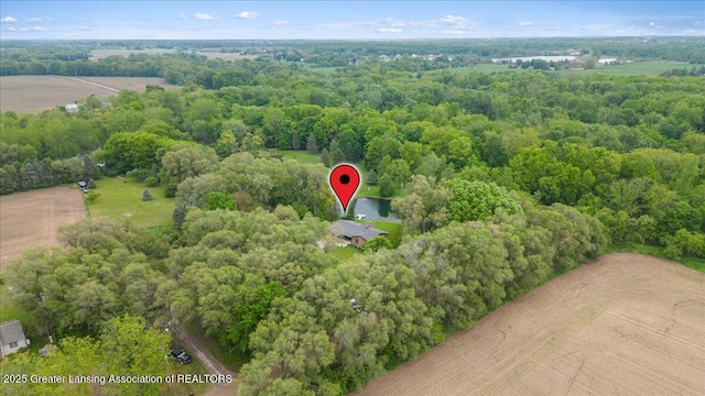 4582 N Watson Rd, Elsie, MI 48831 - aerial view of a forest