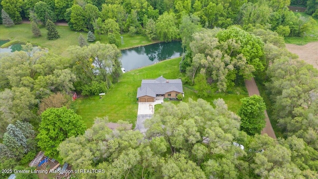 4582 N Watson Rd, Elsie, MI 48831 - aerial view of property's location with a large body of water