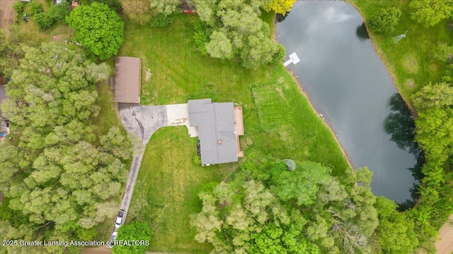 4582 N Watson Rd, Elsie, MI 48831 - bird's eye view of a nearby body of water