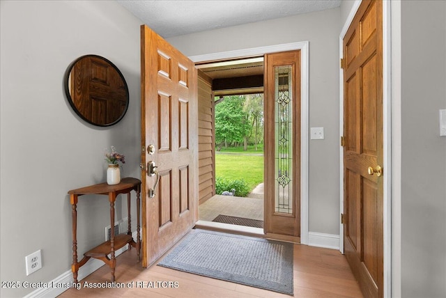 4582 N Watson Rd, Elsie, MI 48831 - foyer entrance with light wood-style floors and baseboards