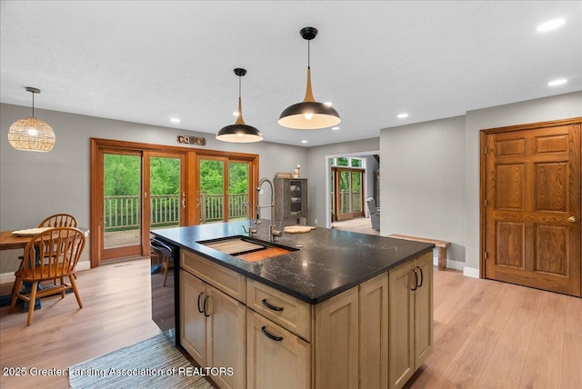 4582 N Watson Rd, Elsie, MI 48831 - kitchen featuring a sink, dishwasher, light wood finished floors, baseboards, and recessed lighting