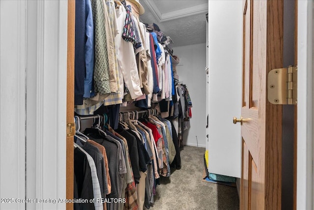 4582 N Watson Rd, Elsie, MI 48831 - spacious closet with carpet flooring