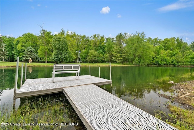 4582 N Watson Rd, Elsie, MI 48831 - dock area with a water view and a forest view