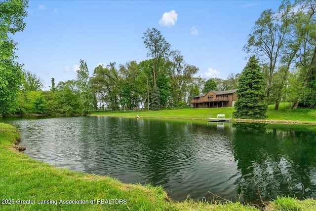 4582 N Watson Rd, Elsie, MI 48831 - water view