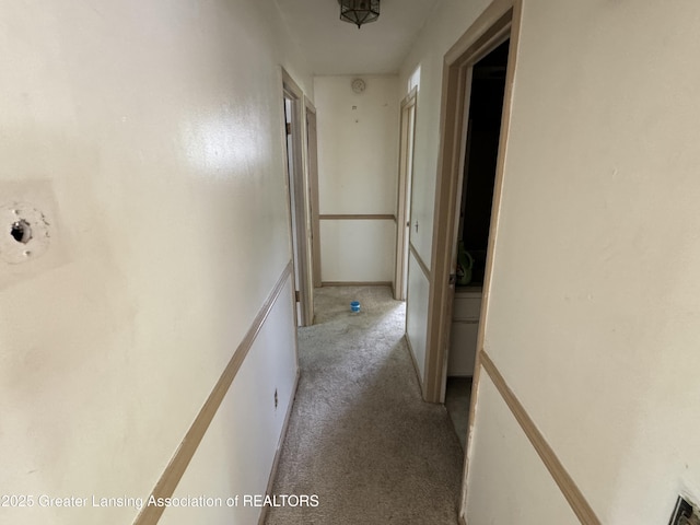 3425 Cooley Dr, Lansing, MI 48911 - hall with light carpet