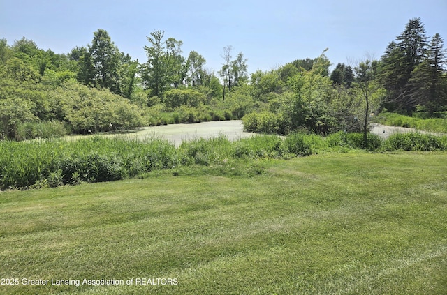 3066 S Canfield Rd, Eaton Rapids, MI 48827 - view of green lawn with a water view