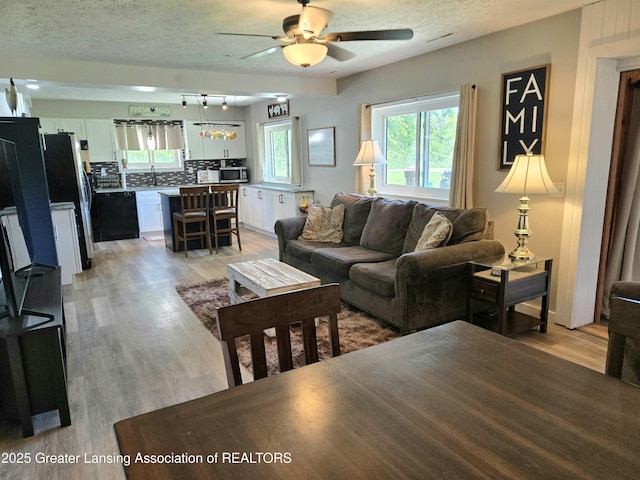 3066 S Canfield Rd, Eaton Rapids, MI 48827 - living area featuring light wood-style flooring, a textured ceiling, and a ceiling fan
