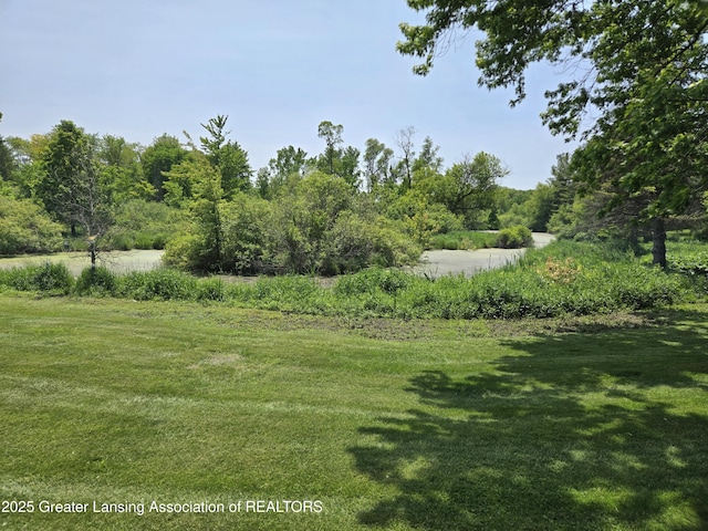 3066 S Canfield Rd, Eaton Rapids, MI 48827 - view of grassy yard