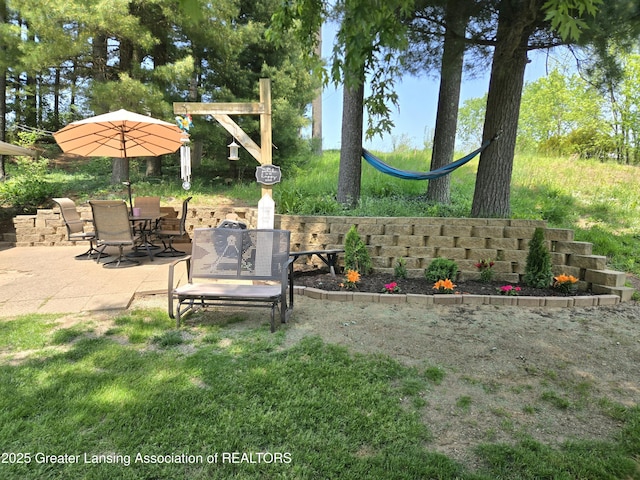 3066 S Canfield Rd, Eaton Rapids, MI 48827 - view of yard featuring a patio