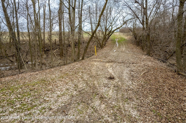 005 S Skyline Dr, Perrinton, MI 48871