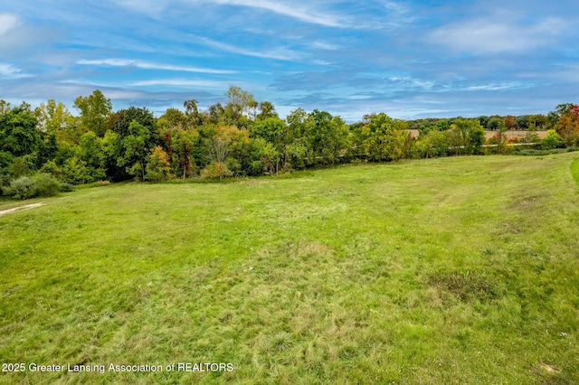 005 S Skyline Dr, Perrinton, MI 48871