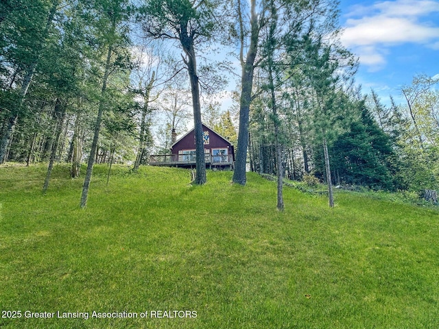 2623 Timberlane Trl, Grayling, MI 49738 - view of green lawn