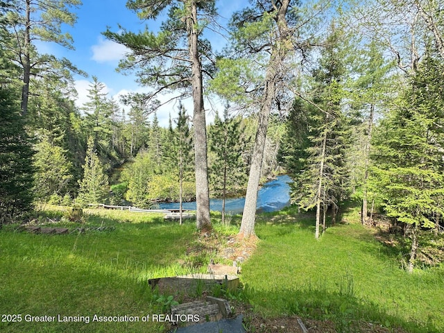 2623 Timberlane Trl, Grayling, MI 49738 - view of yard featuring a forest view