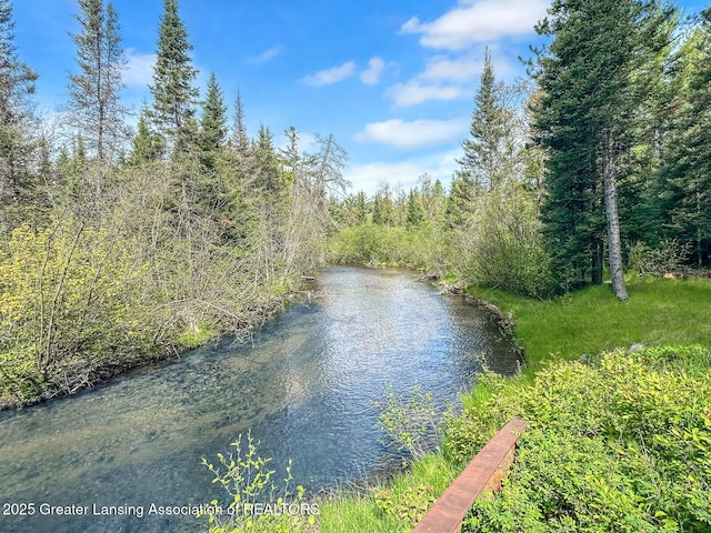 2623 Timberlane Trl, Grayling, MI 49738 - water view featuring a heavily wooded area
