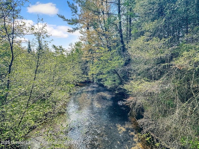 2623 Timberlane Trl, Grayling, MI 49738 - water view