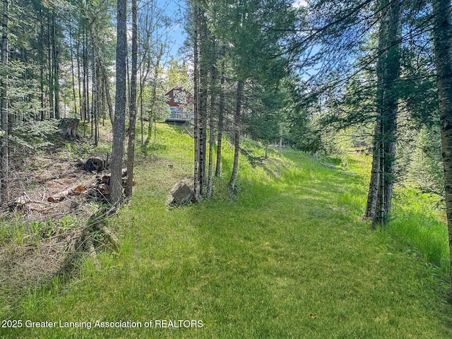 2623 Timberlane Trl, Grayling, MI 49738 - view of yard